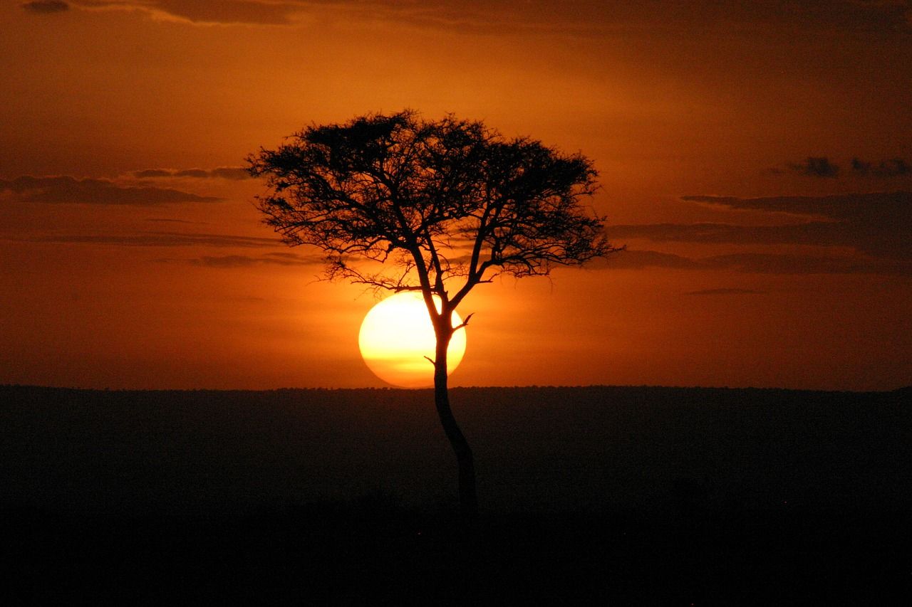 Kenya view 2