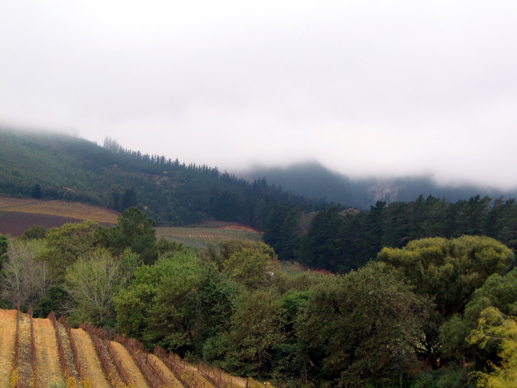 South Africa view 4